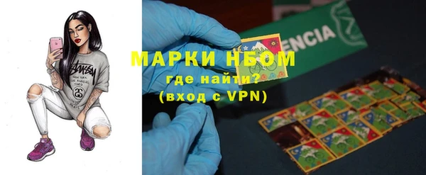стаф Ладушкин