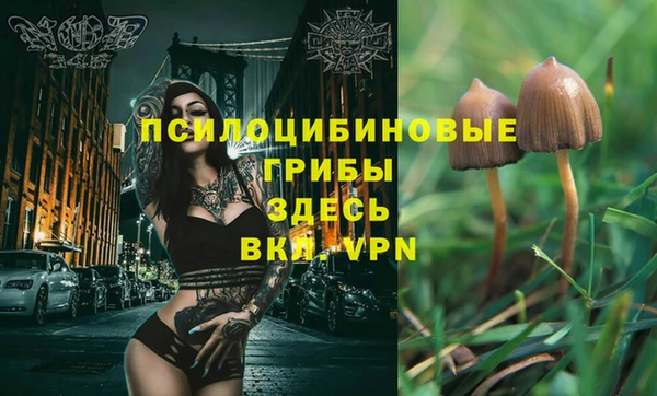 соль ск Лабытнанги