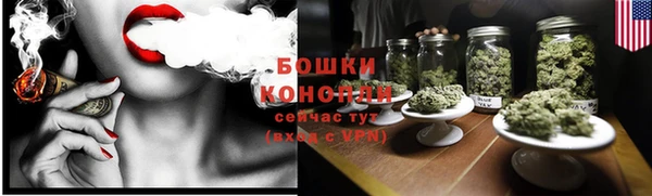 стаф Ладушкин