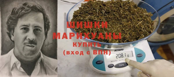PSILOCYBIN Магас