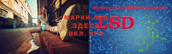 PSILOCYBIN Магас